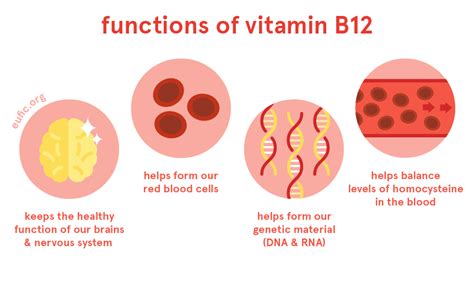 what is b12 used for.